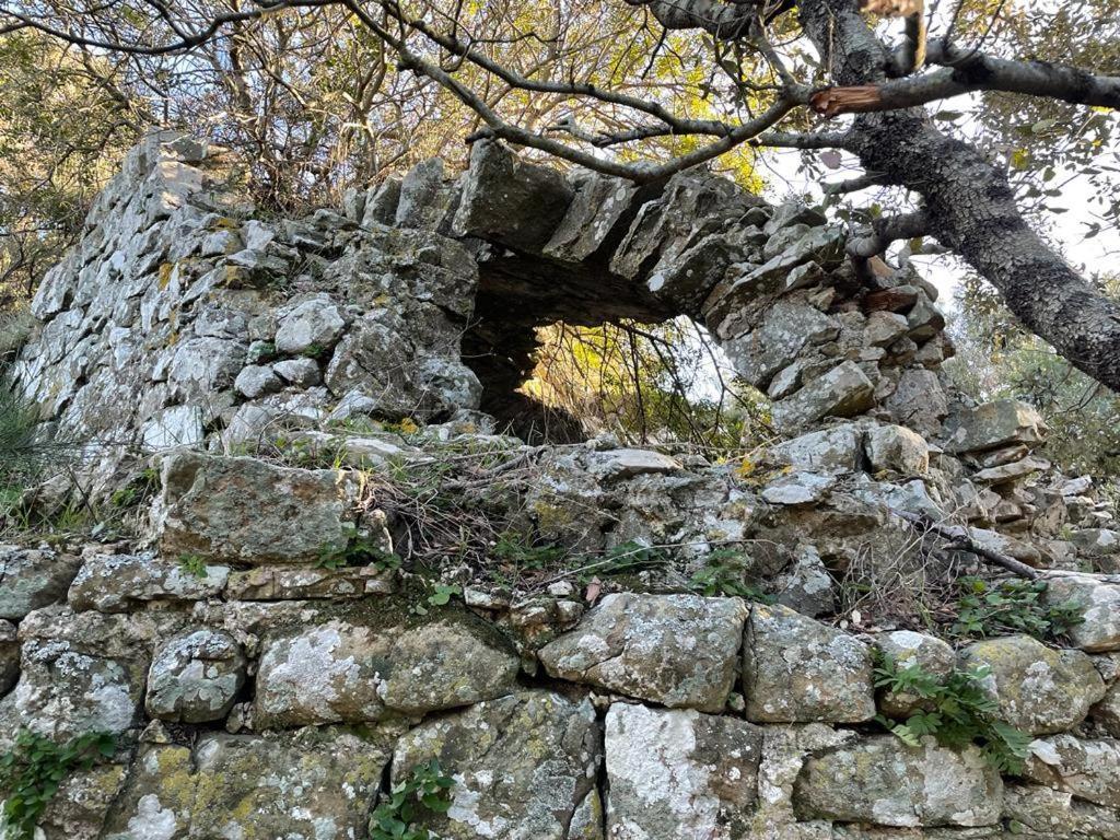 Antica Casa Prile Apartman Castiglione della Pescaia Kültér fotó